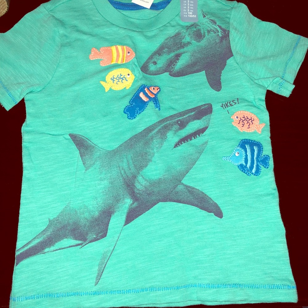 Gap Boys 3T T-shirt